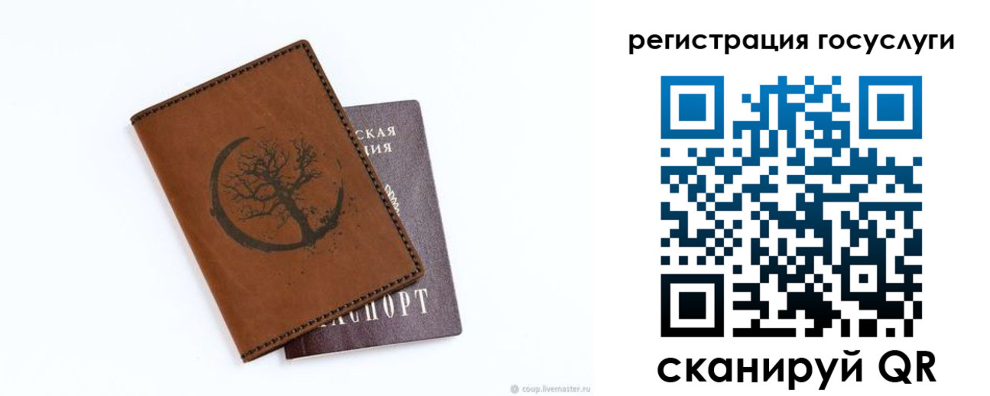 прописка для школы в Зверево